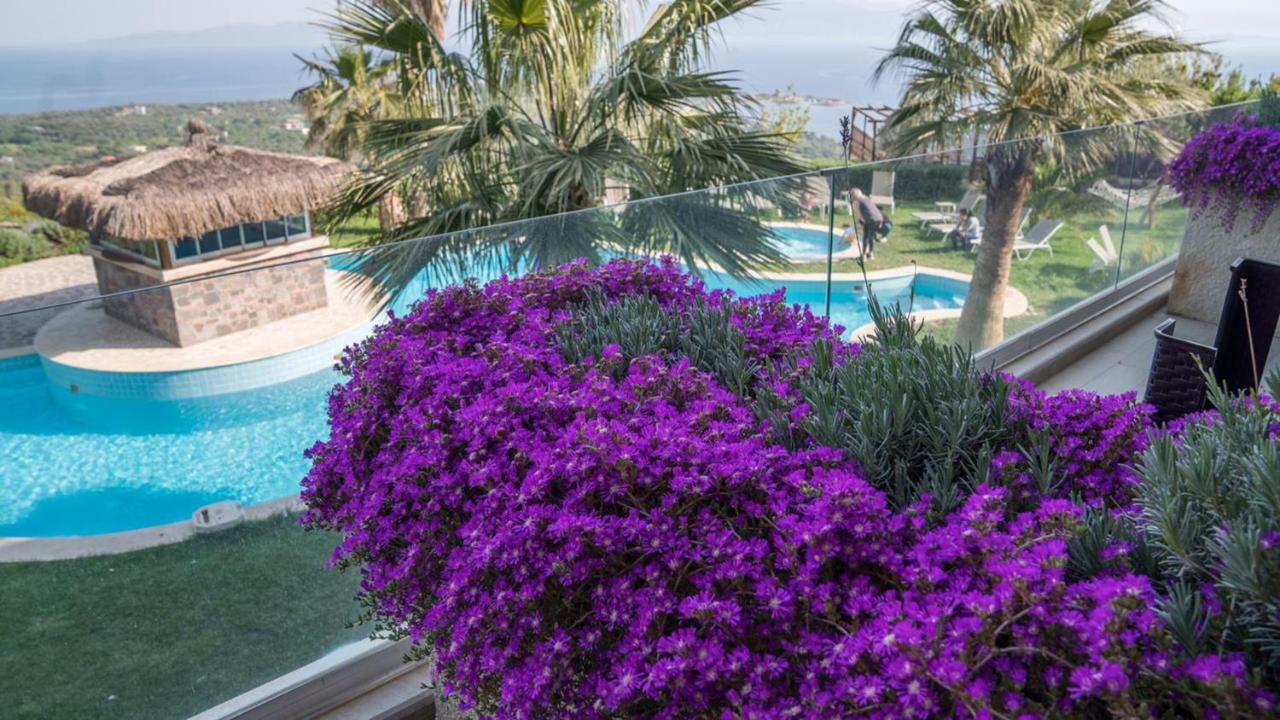 Assos Alis Farm Boutique Hotel & Spa Exterior foto