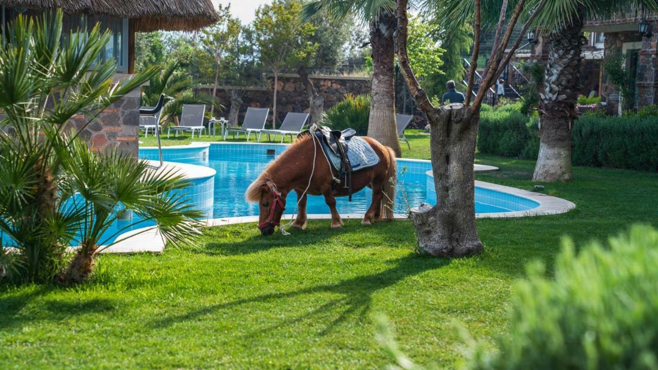Assos Alis Farm Boutique Hotel & Spa Exterior foto