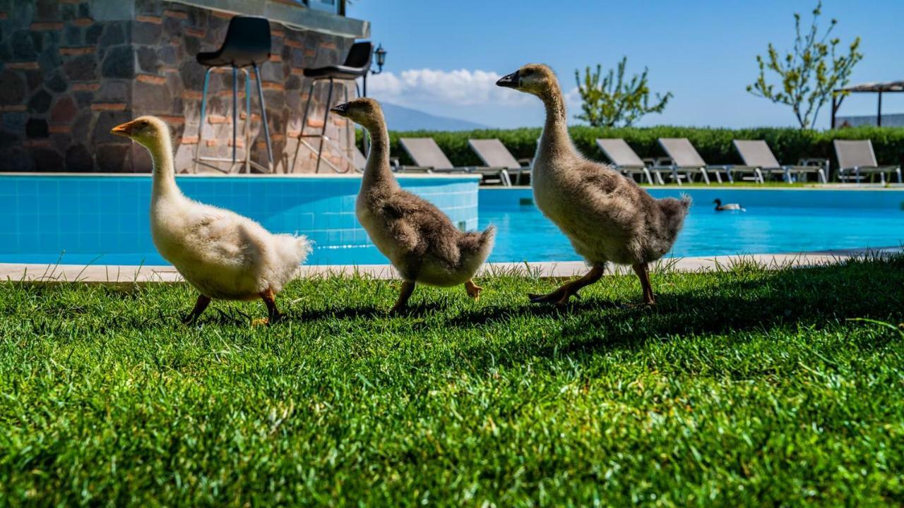 Assos Alis Farm Boutique Hotel & Spa Exterior foto